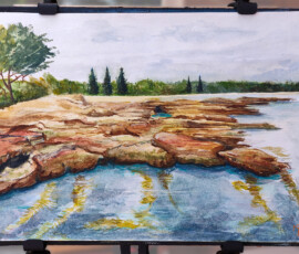 Cookies Beach - Murramarang Watercolour painting floating kelp under the surface of the sea next to rocky outcrop at Cookies Beach Murramarang.