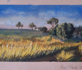 Mount Taylor Morning. Watercolour painting of Mount Taylor in the ACT featuring Golden grass and gumtree painted at 6:43 in the morning low light.
