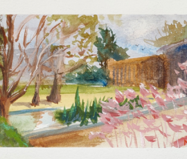 ANU - Spring Watercolour painting looking across the garden at the Quantum science building at ANU standing outside the school of Medicine and Psychology.