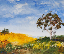 Summer Fields Gum Tree Watercolour painting capturing the intense warmth and brightness of Australian capital territory in high summer showing a yellow golden Hill bright blue sky and white gum in the foreground