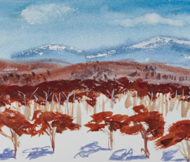 Thredbo With a view from thread bow cross snow cupboard mountains, blue sky day with bright shadows and fresh snow.